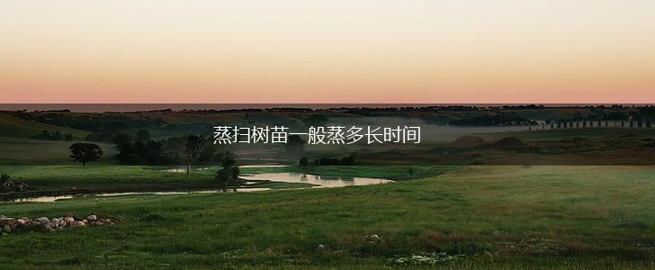 蒸扫树苗一般蒸多长时间,第1张