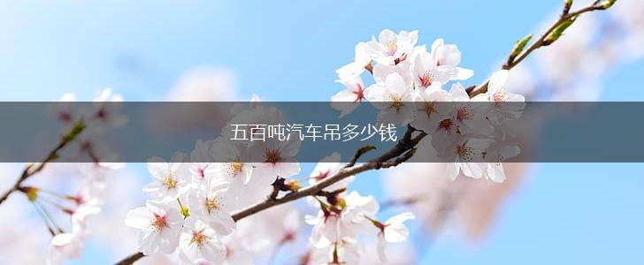 五百吨汽车吊多少钱,第1张