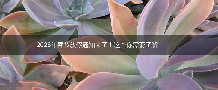 2023年春节放假通知来了！这些你需要了解,第1张