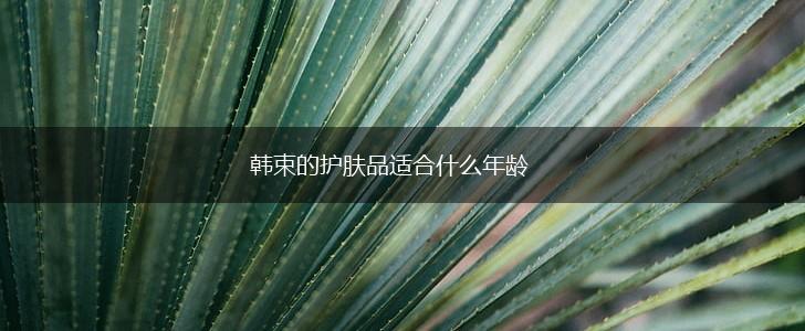 韩束的护肤品适合什么年龄,第1张