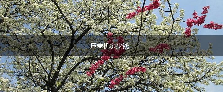 压盖机多少钱,第1张