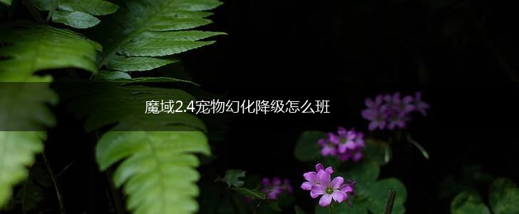 魔域2.4宠物幻化降级怎么班,第1张
