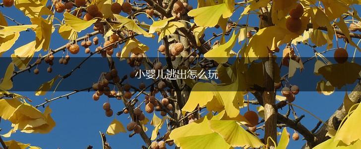 小婴儿逃出怎么玩,第1张