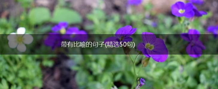 带有比喻的句子(精选50句),第1张