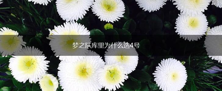 梦之队库里为什么选4号,第1张