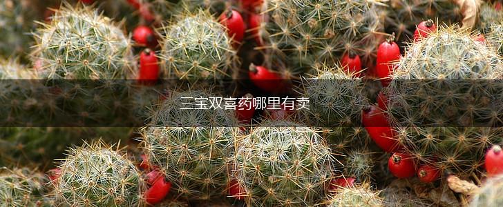 三宝双喜药哪里有卖,第1张