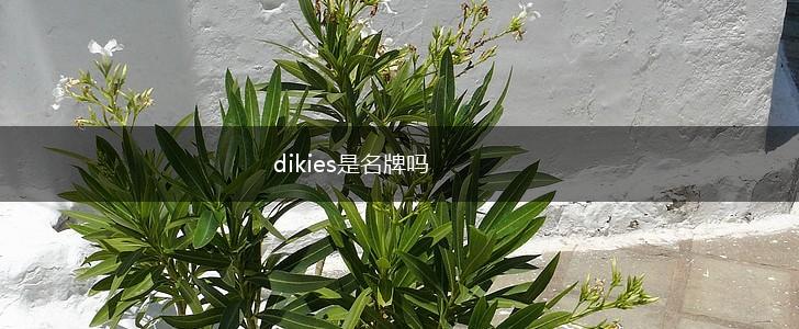 dikies是名牌吗,第1张