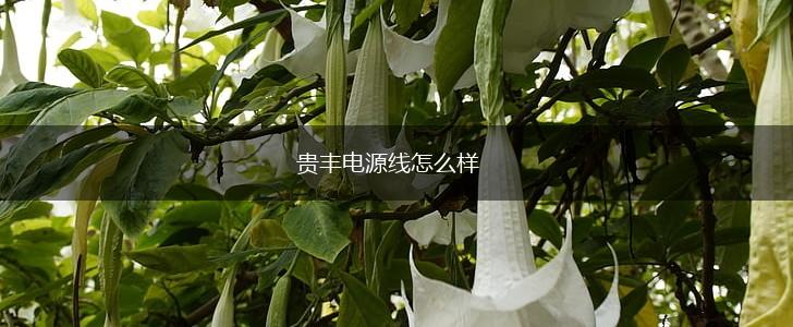 贵丰电源线怎么样,第1张