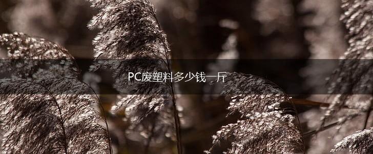 PC废塑料多少钱一斤,第1张