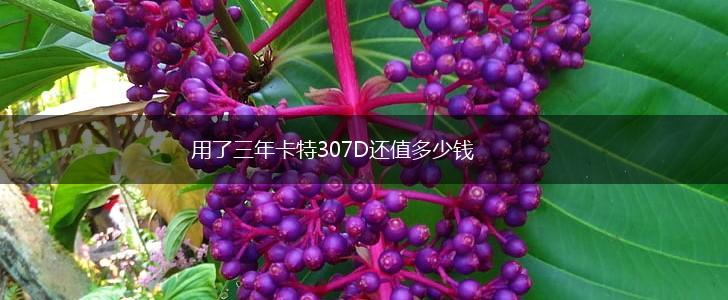 用了三年卡特307D还值多少钱,第1张