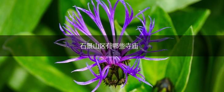 石景山区有哪些寺庙,第1张