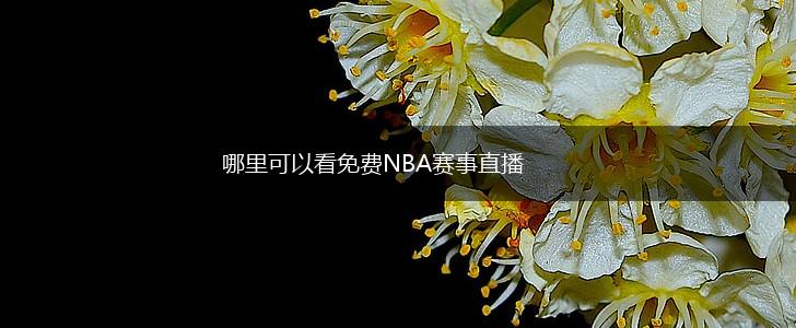 哪里可以看免费NBA赛事直播,第1张
