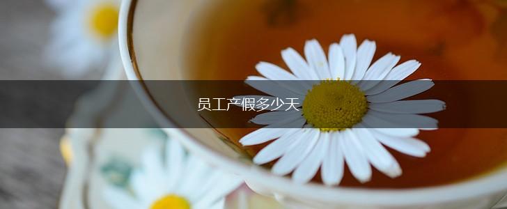 员工产假多少天,第1张