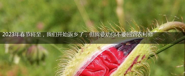 2023年春节将至，我们开始返乡了，但我要劝你不要回到农村修建房,第1张
