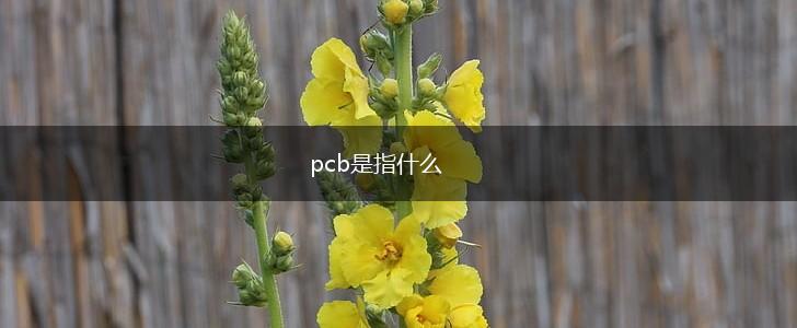 pcb是指什么,第1张