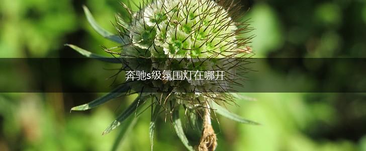 奔驰s级氛围灯在哪开,第1张