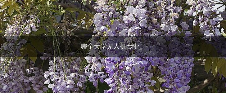 哪个大学无人机专业,第1张