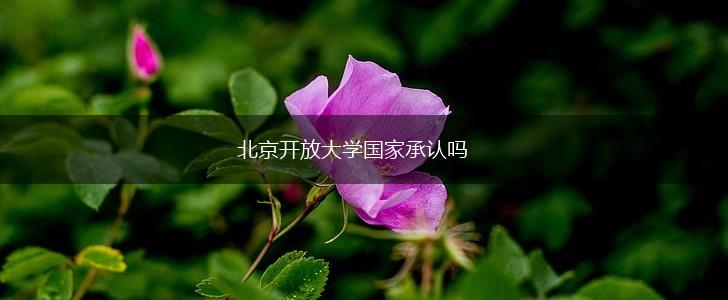北京开放大学国家承认吗,第1张