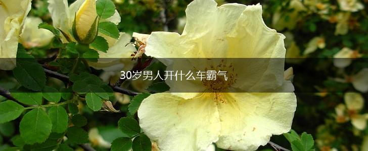 30岁男人开什么车霸气,第1张