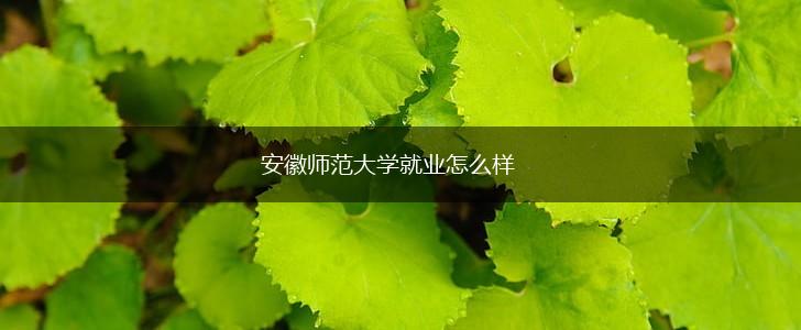 安徽师范大学就业怎么样,第1张
