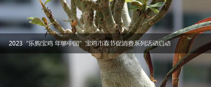 2023“乐购宝鸡 年够中国”宝鸡市春节促消费系列活动启动,第1张