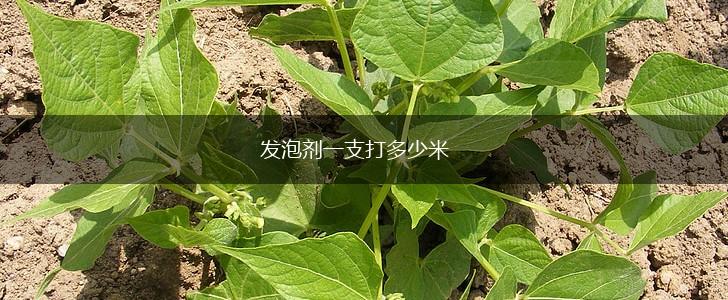 发泡剂一支打多少米,第1张