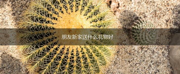 朋友新家送什么礼物好,第1张