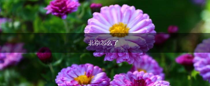 北京怎么了,第1张