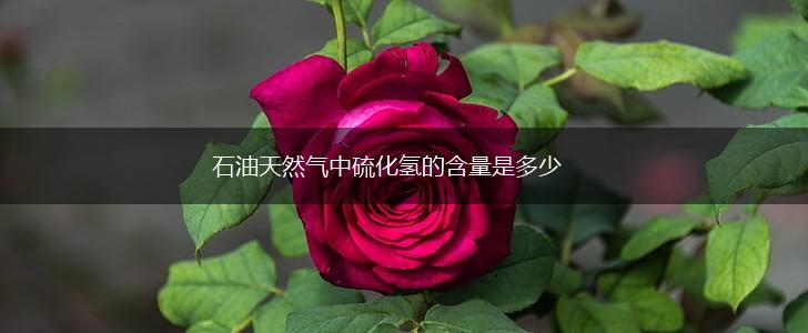 石油天然气中硫化氢的含量是多少,第1张