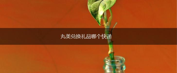 丸美兑换礼品哪个快递,第1张
