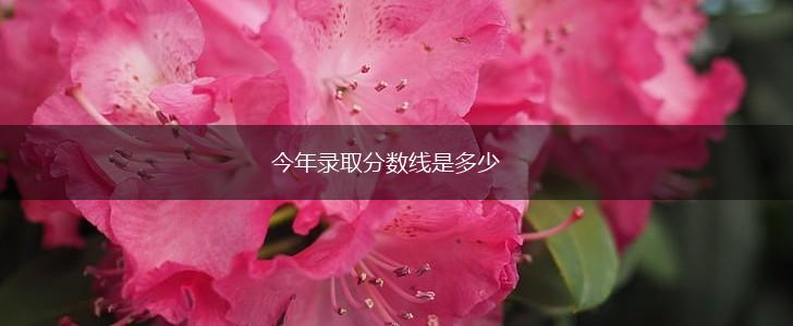 今年录取分数线是多少,第1张