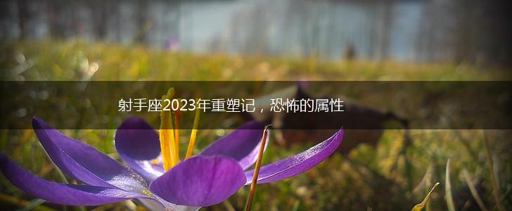 射手座2023年重塑记，恐怖的属性,第1张