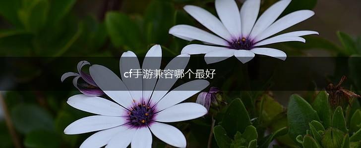 cf手游兼容哪个最好,第1张