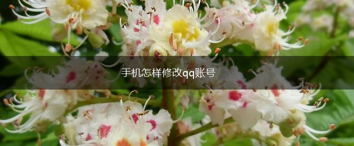 手机怎样修改qq账号,第1张