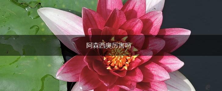 阿森西奥厉害吗,第1张