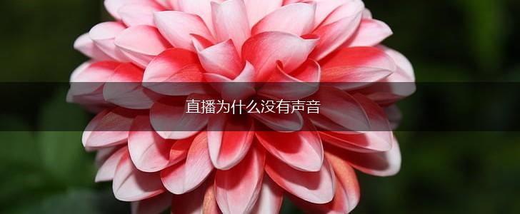 直播为什么没有声音,第1张
