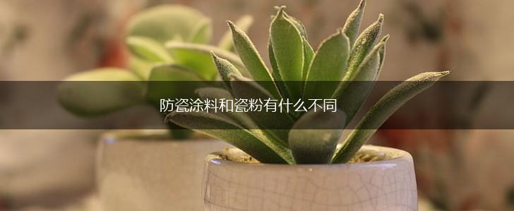 防瓷涂料和瓷粉有什么不同,第1张
