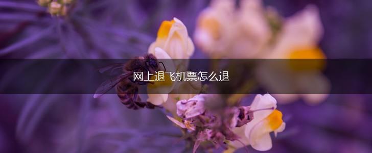 网上退飞机票怎么退,第1张
