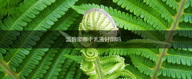 温碧泉哪个乳液好用吗,第1张