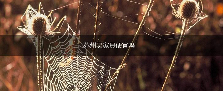 苏州买家具便宜吗,第1张