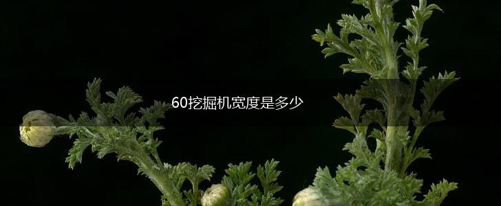 60挖掘机宽度是多少,第1张