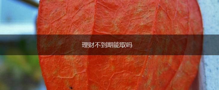 理财不到期能取吗,第1张
