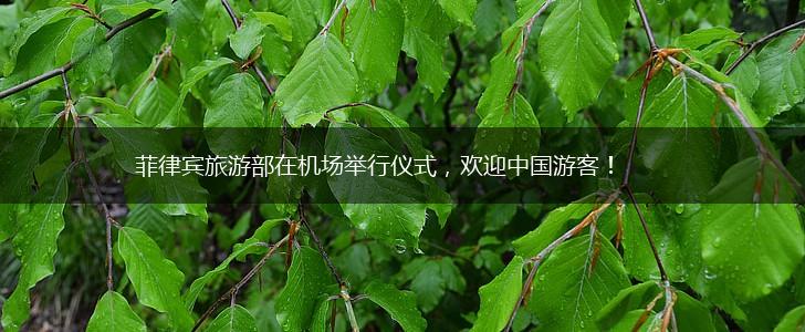 菲律宾旅游部在机场举行仪式，欢迎中国游客！,第1张