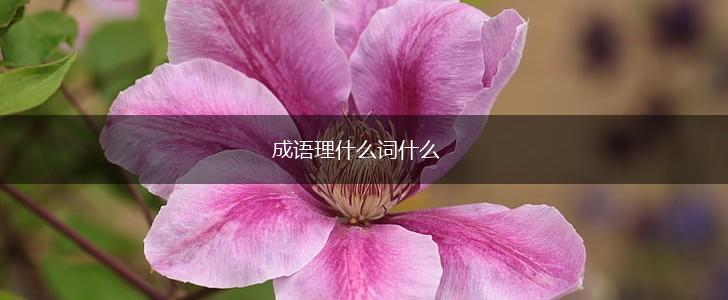 成语理什么词什么,第1张