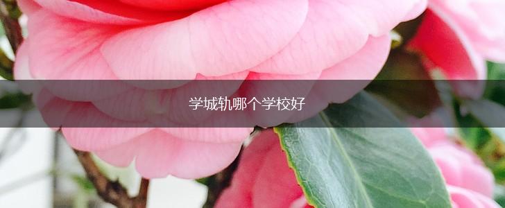 学城轨哪个学校好,第1张