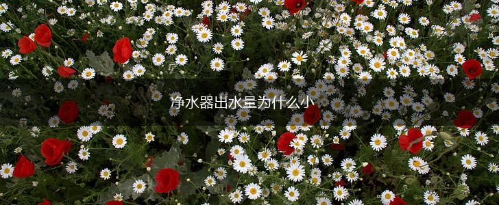 净水器出水量为什么小,第1张