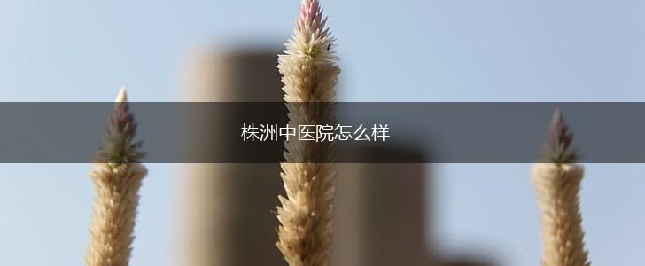 株洲中医院怎么样,第1张