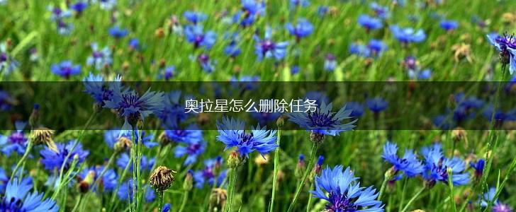 奥拉星怎么删除任务,第1张
