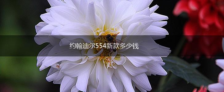 约翰迪尔554新款多少钱,第1张