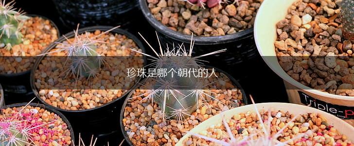 珍珠是哪个朝代的人,第1张